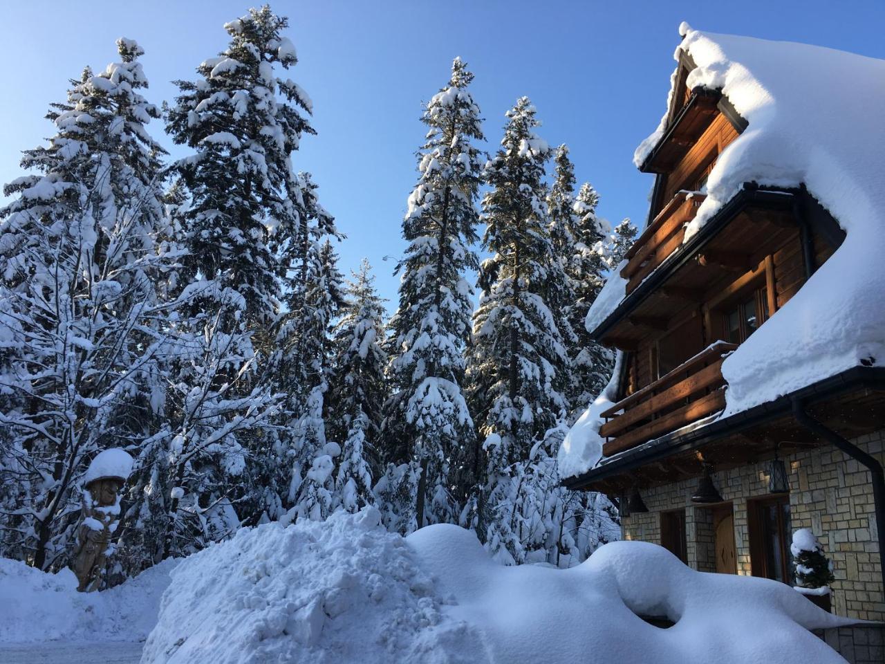 Hotel Dwor Karolowka Zakopane Eksteriør billede
